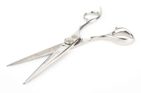 Arch 6.0 Scissors