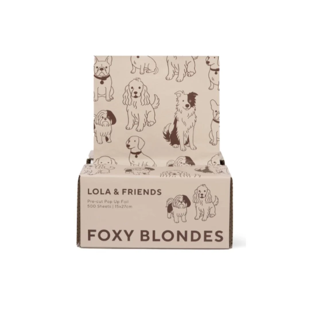 Foxy Pop Up 15x27cm Lola & Friends