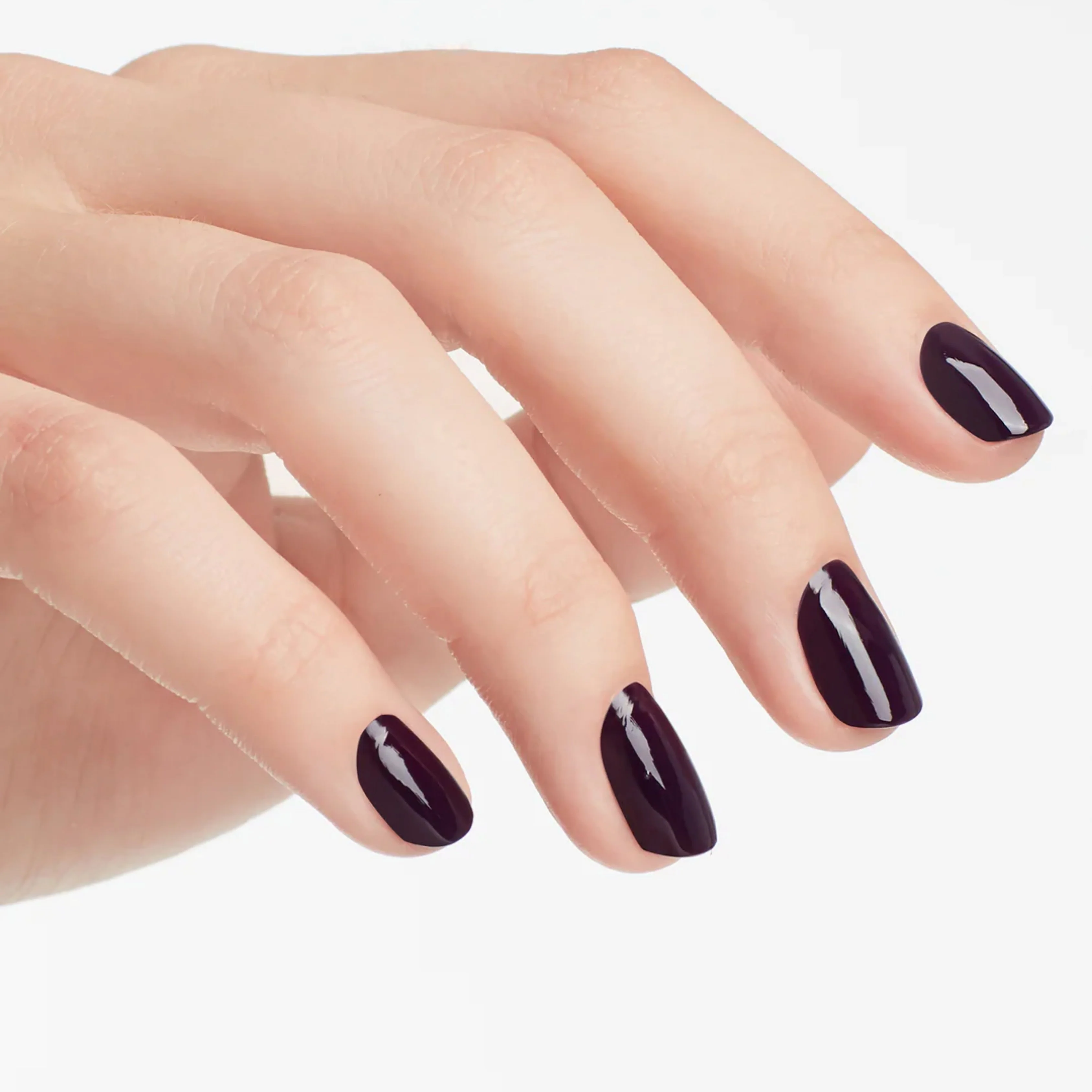 Lacquer - O Suzi Mio - Image 2