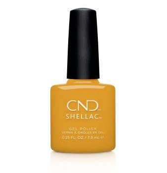 Shellac Among The Marigolds - Image 2