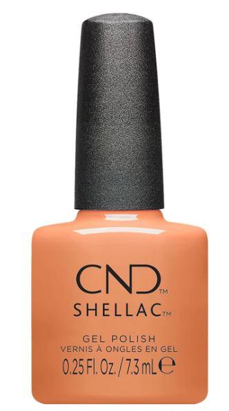 Shellac Daydreaming