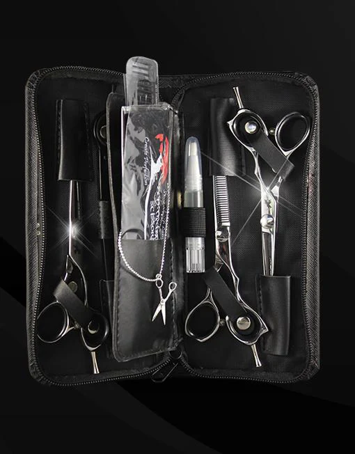 Zen Student Kit Silver Edition